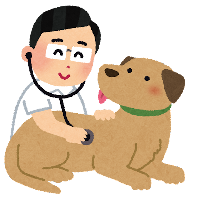 獣医が犬に聴診器を当てているイラスト