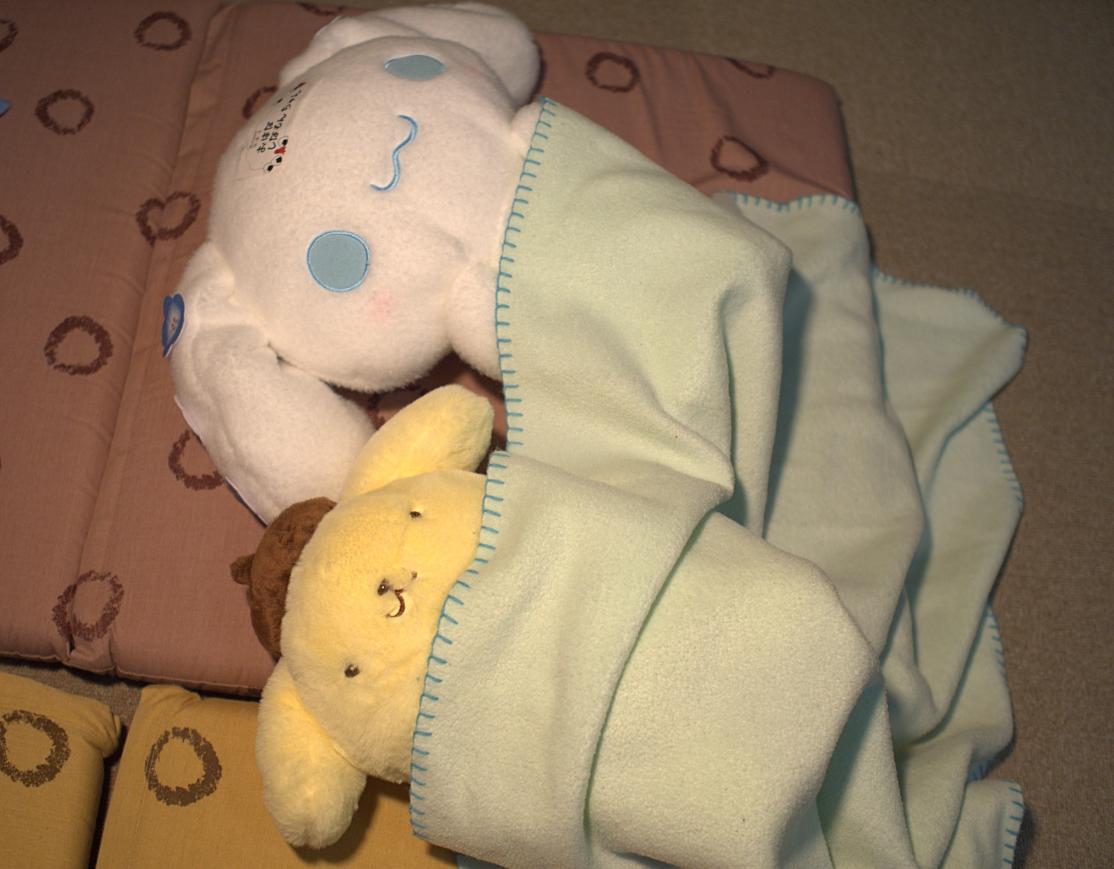 ぬいぐるみおとまり1
