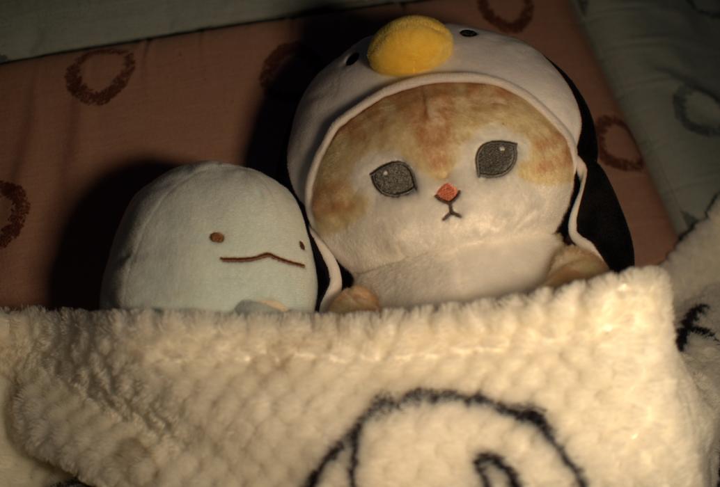 ぬいぐるみおとまり2