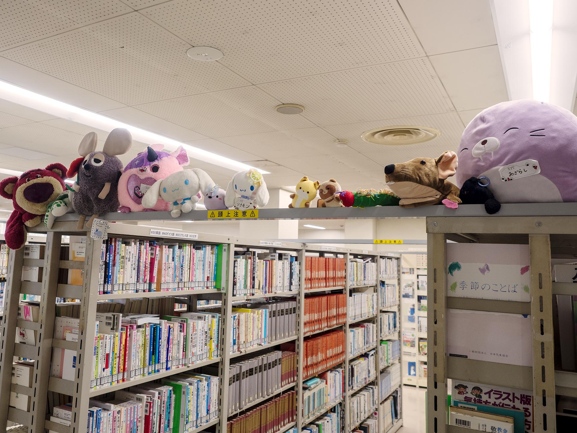 ぬいぐるみ探検4 ぬいぐるみ探検4