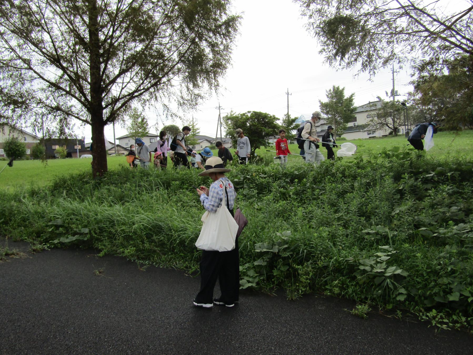 自然観察写真(2) 自然観察写真(2)